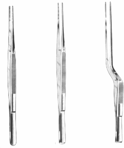  Taylor Forceps